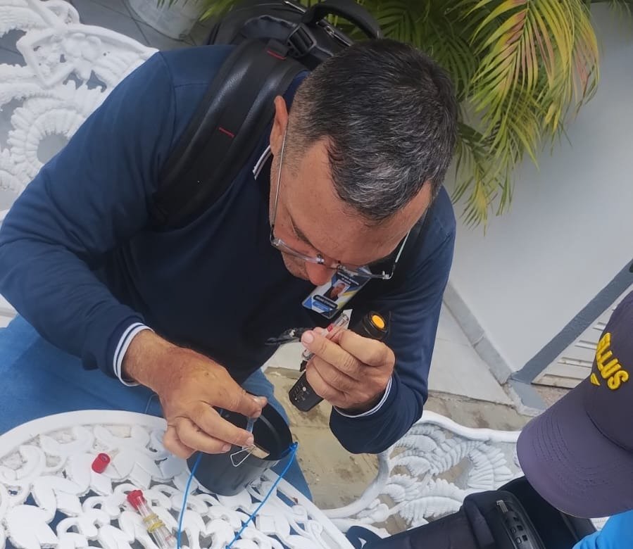 Vigilância Ambiental de Patos retira quase 6 mil ovos do mosquito Aedes aegypti com uso de ovitrampas