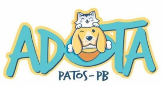 ONG ADOTA Patos convoca protetores e ativistas para reunião sobre bem-estar animal em Patos