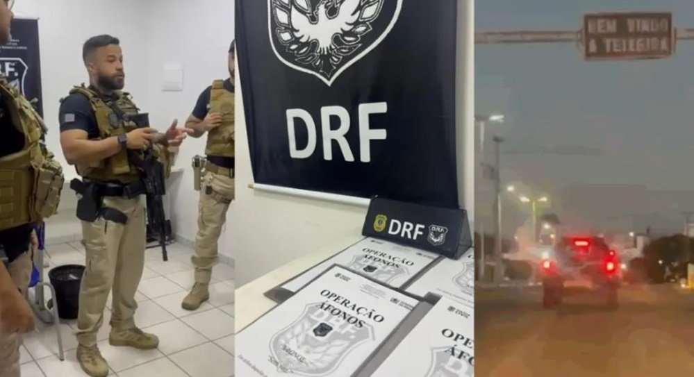 Operação Áfonos: Polícia Civil cumpre mandados em Teixeira para investigar envenenamento em massa de animais