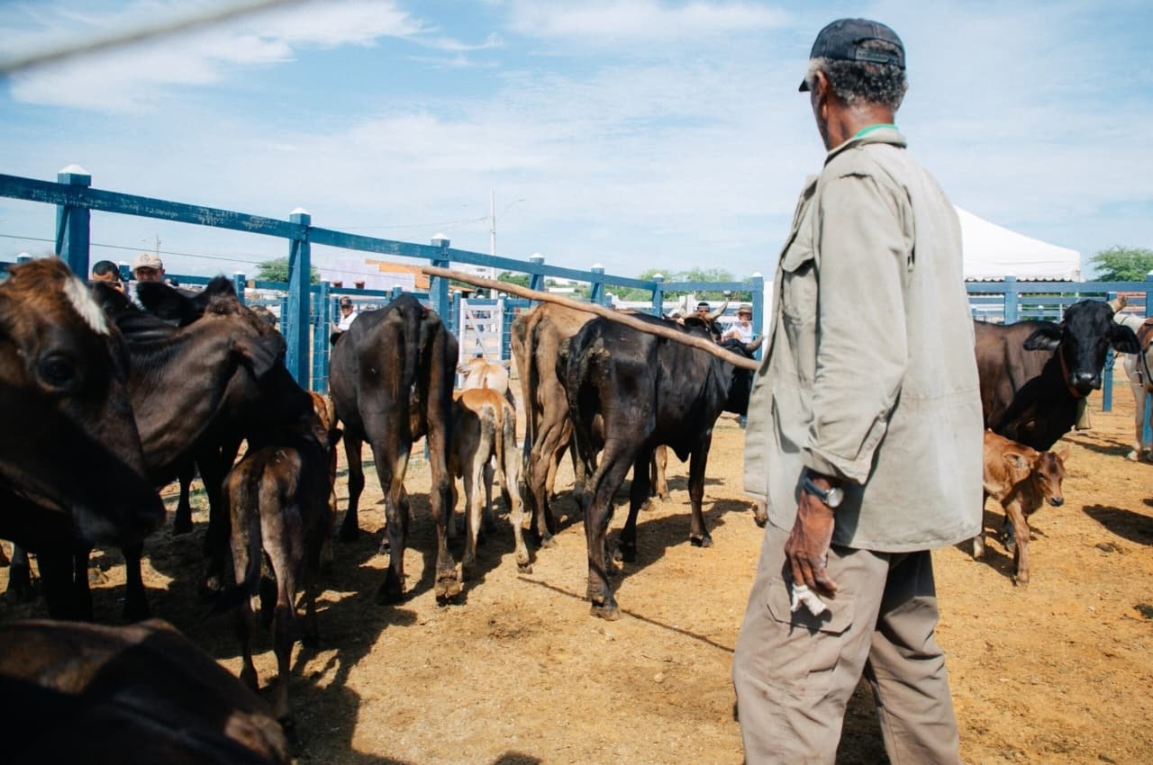 Feira do Gado funcionará normalmente no feriado de 7 de Setembro