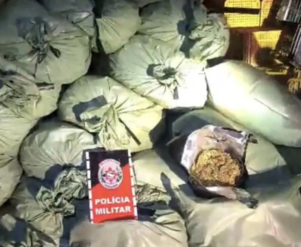 Polícia Militar e Polícia Federal apreendem grande quantidade de drogas em caminhão em Água Branca