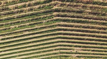 WhatsApp Image 2026-02-09 at 10.35.51