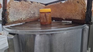 melpiranhas
